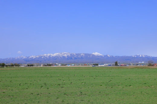 地域での活動